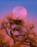 DSC_4326_edited-1_edited_edited_edited