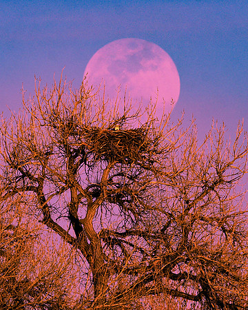 DSC_4326_edited-1_edited_edited_edited
