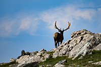 2024-07-13 - RMNP