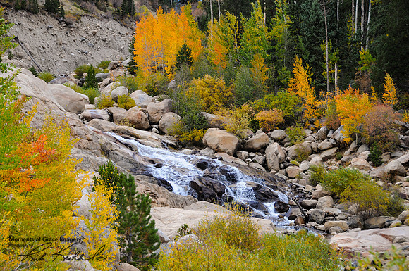 DSC_1210_edited