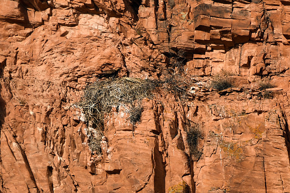 DSC_5500_edited