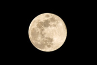 DSC_4803_edited