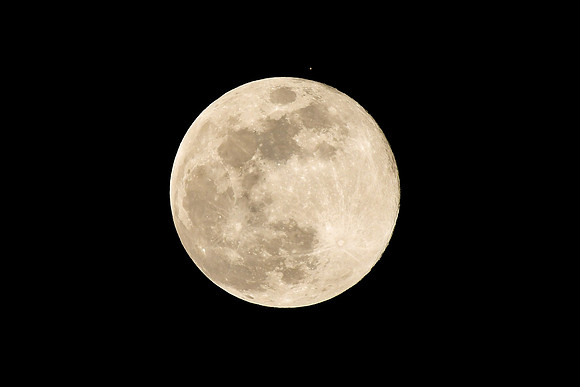 DSC_4803_edited