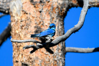 DSC_9110_edited