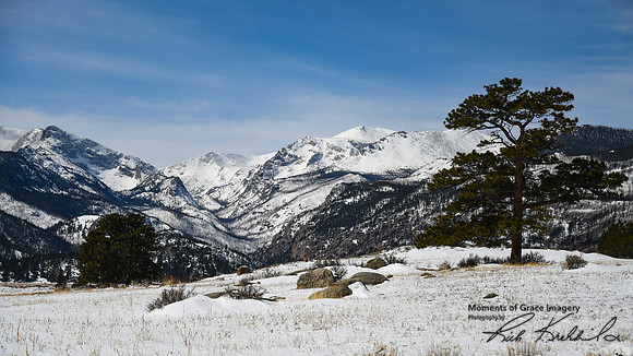 DSC_0833_edited