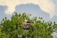 DSC_8278_edited