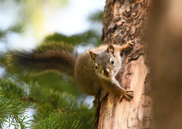 DSC_3707_edited