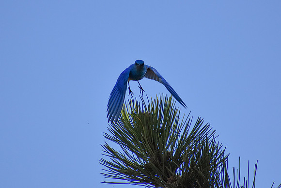DSC_0366_edited