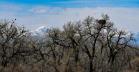 DSC_4769_edited