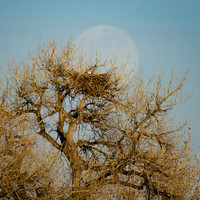 DSC_4292_edited-square