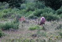 DSC_4730_edited