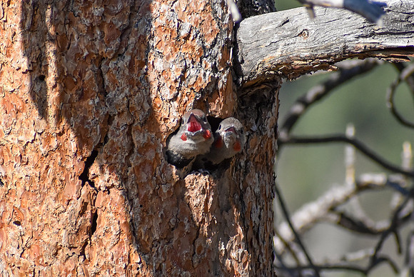 DSC_0417_edited