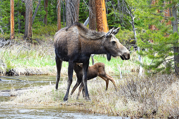 DSC_6874_edited