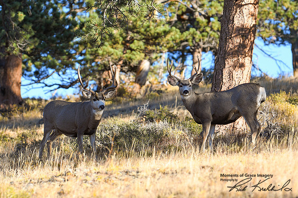 DSC_7141_edited