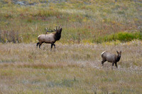 DSC_4096_edited