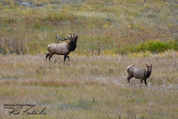 DSC_4096_edited