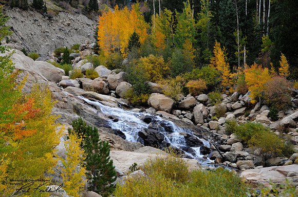 DSC_1210_edited-full-4x6-Add Watermark_2022_07_11_12_13_19