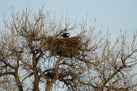 DSC_4249_edited
