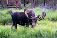 DSC_8383_edited