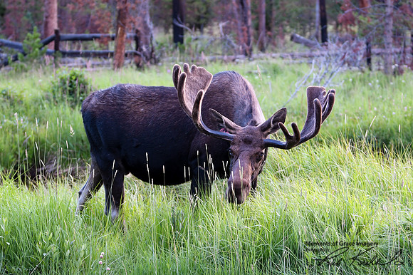 DSC_8383_edited