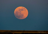 Add Watermark_2022_05_17_11_05_52 - DSC_0434 - Penumbral Eclipse had begun_edited_edited_edited-1
