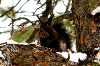 DSC_5251_edited