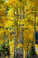DSC_0464_edited