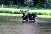 DSC_3166_edited
