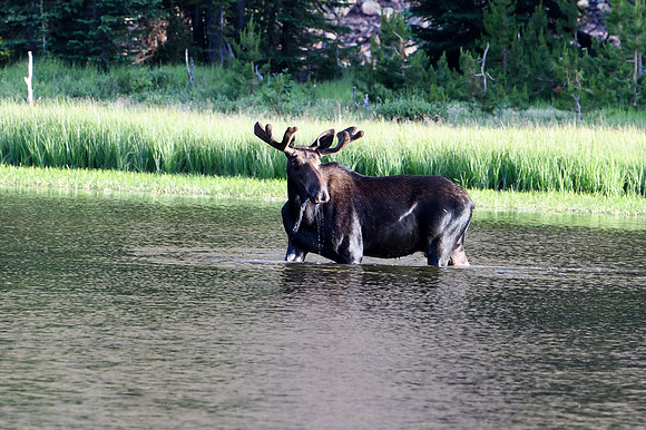 DSC_3166_edited