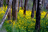 DSC_3224_edited