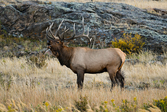DSC_4942_edited - max res