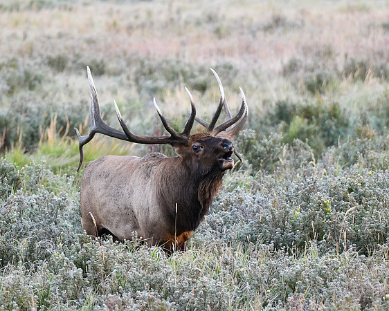 DSC_5480_edited