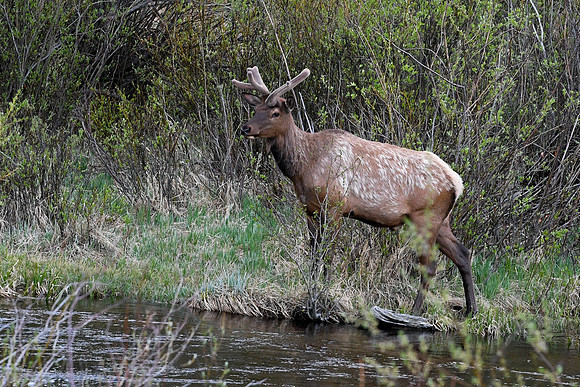 DSC_7732_edited