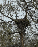 DSC_5898_edited