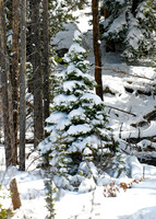 DSC_5167_edited
