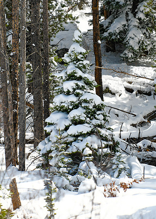DSC_5167_edited