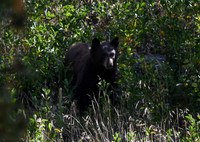DSC_4498_edited-5x7