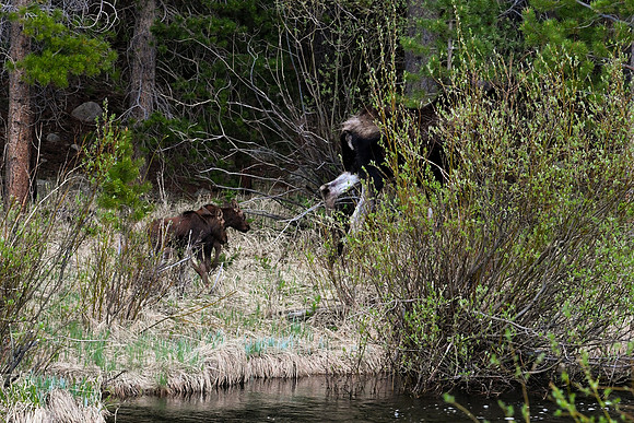 DSC_7769_edited
