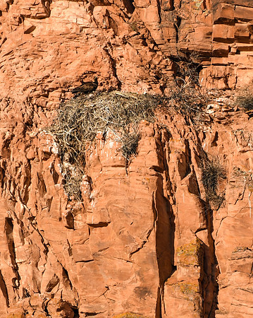 DSC_5693_edited