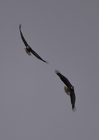 DSC_0460_edited-MX
