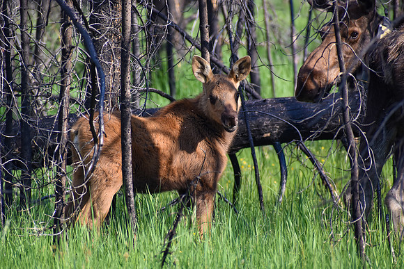 DSC_0291_edited-MX