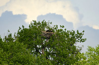 DSC_8273_edited