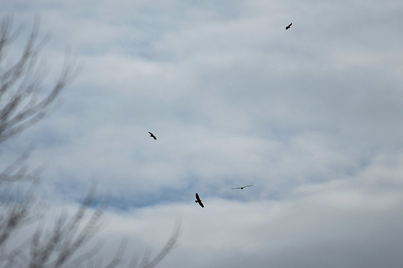 DSC_3916_edited