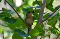 DSC_0167_edited