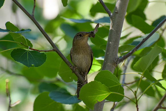 DSC_0167_edited