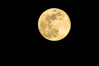 DSC_4680_edited - Full Wolf Moon and Mars creeping closer!