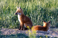 DSC_5285_edited