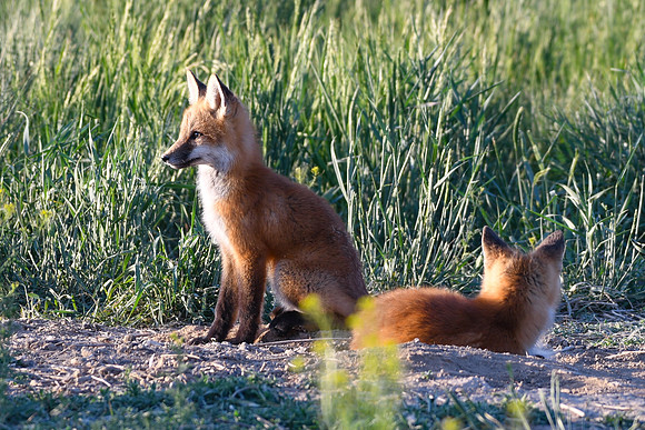 DSC_5285_edited