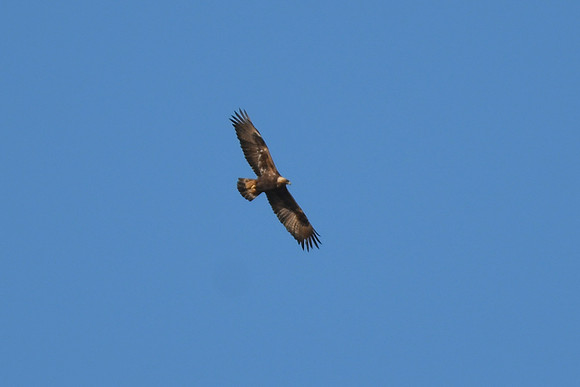 DSC_5558_edited