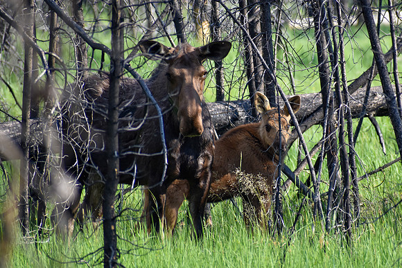 DSC_0273_edited-MX